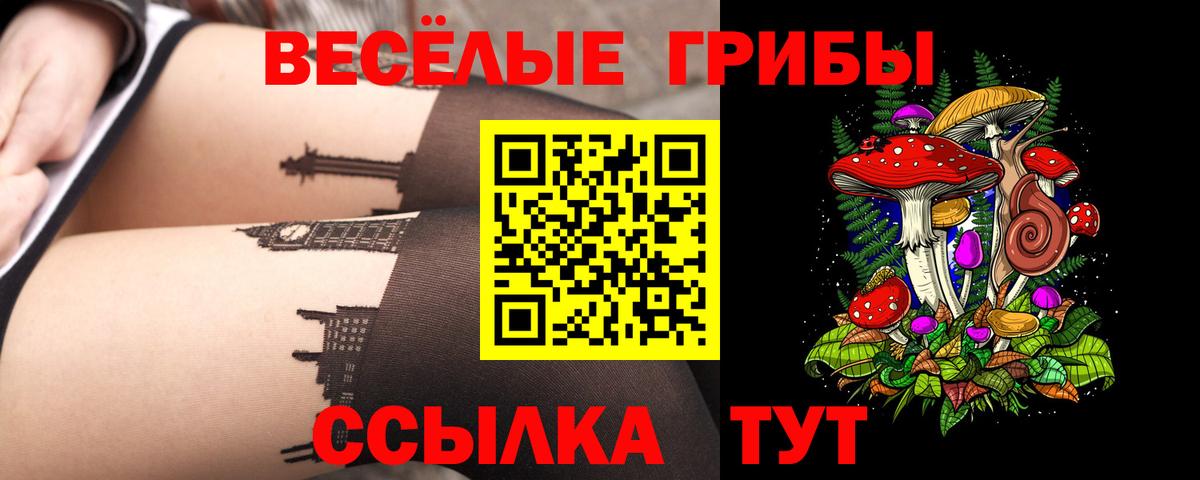 Псилоцибиновые грибы Psilocybe  Вход с VPN  Малоярославец  Галлюциногенные грибы ЛСД 